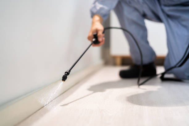 Licensed Rodent Control service in Red Oak, TX - Nex Pest Control