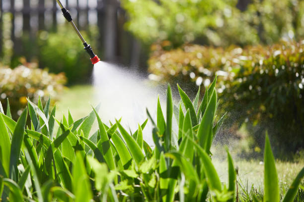 24/7 Emergency Rodent Control experts in Red Oak, TX
