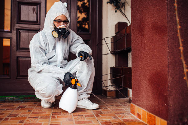 Reliable Rodent Control contractor in Red Oak, TX by Nex Pest Control